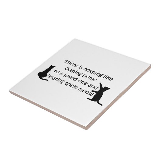 猫来の家 タイル (側面)