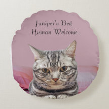 猫枕の個人用設定