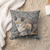 猫枕ケース クッション (ブランケット)