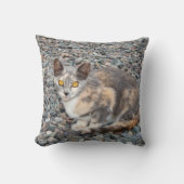 猫枕ケース クッション (正面)