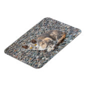 猫枕ケース マグネット (左側)