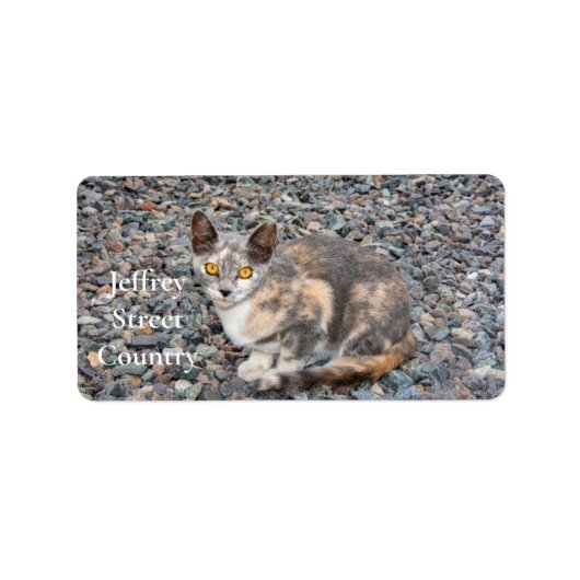 猫枕ケース ラベル (正面)