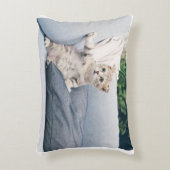 猫枕 アクセントクッション (正面(垂直))