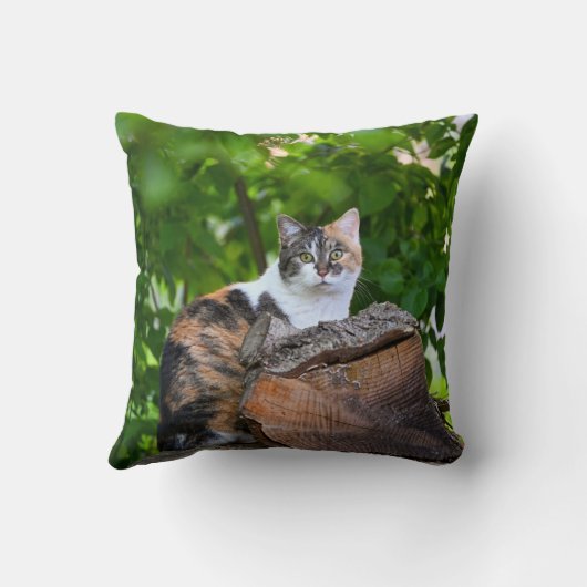 猫枕   ケース クッション (裏面)