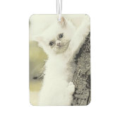 猫柔らかい小猫 カーエアーフレッシュナー (裏面)