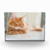 猫横型フォトキュートフォント名 フォトブロック (正面)