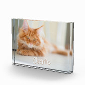 猫横型フォトキュートフォント名 フォトブロック (右)