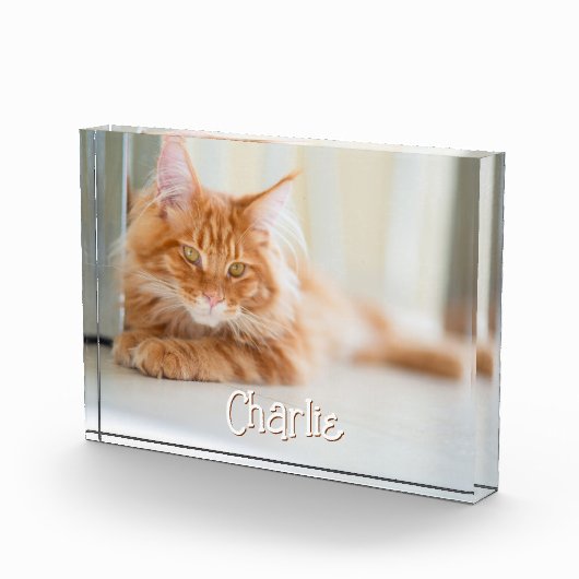 猫横型フォトキュートフォント名 フォトブロック (右)