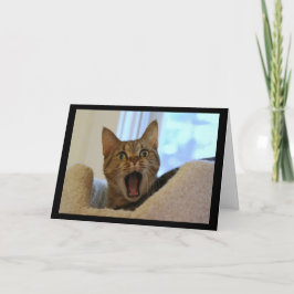 猫歌唱ハッピーバースデー カード