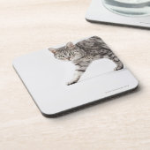 猫歩く コースター (左側)