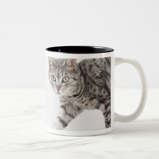 猫歩く ツートーンマグカップ (右)