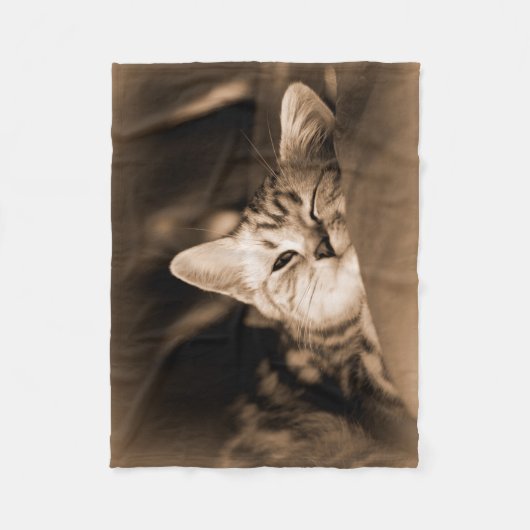 猫毛布 フリースブランケット (正面)