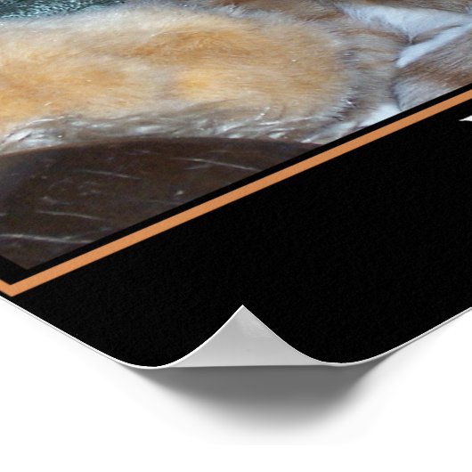 猫民主化論者 ポスター (角)