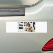 猫深い考え バンパーステッカー (車上)