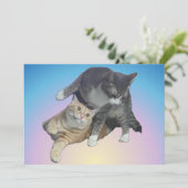 猫熱狂するたち – TazとTito Bandito (スタンド正面)