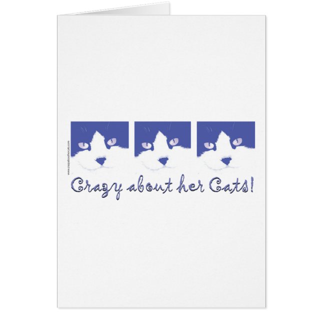 猫熱狂するのこと！ (正面)