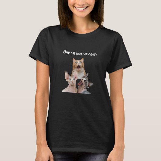 猫熱狂する婦人が猫を一匹足りなかっ熱狂するた Tシャツ (正面)