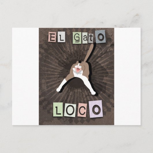 猫熱狂する ポストカード (正面)