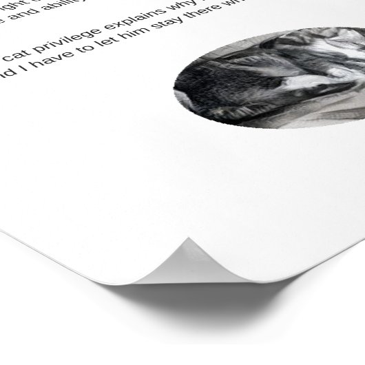 猫特権おもしろい引用文白 ポスター (角)