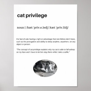 猫特権おもしろい引用文白 ポスター