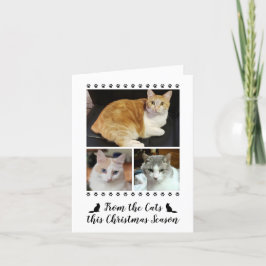 猫犬おもしろいペットのクリスマス写真3枚 シーズンカード