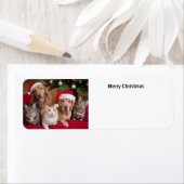 猫犬クリスマス ラベル (インサイチュ)