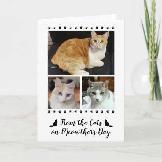 猫犬ペットのフォトスクリプト5x7母の日 カード (正面)