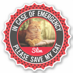 猫猫の緊急時のペットの安全警報 シール