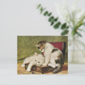 猫猫ヴィンテージイラストレーション絵葉書 ポストカード (スタンド正面)