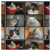 猫猫 ファブリック (クローズアップ)