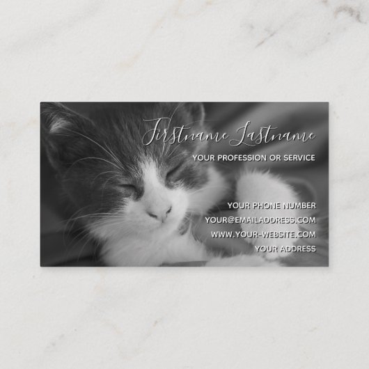 猫用おもしろいペットケ気にアサービス事業 名刺 (裏面)