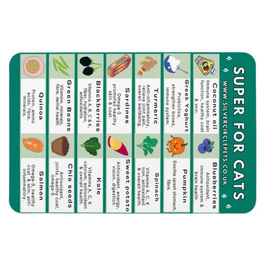 猫用すごい冷蔵庫用マグネット マグネット (横)