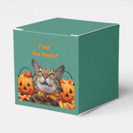 猫用のおすすめ箱を持って行ける フェイバーボックス