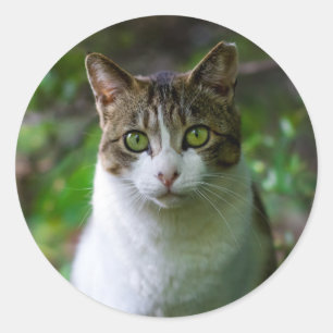猫用のベランダ ラウンドシール