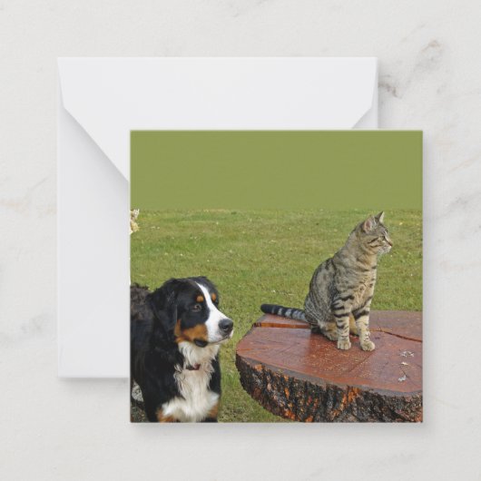 猫用のベルネーゼ山犬 ノートカード (正面)