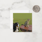 猫用のベルネーゼ山犬 ノートカード (正面/裏面インサイチュ)