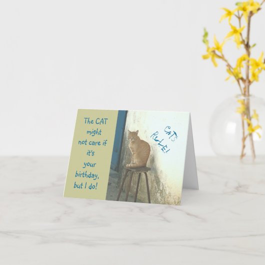 「猫用のルール/排便に止まる猫のルール」ユーモアのある誕生日 カード (黄色い花)