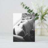 猫用の部屋はがき ポストカード (スタンド正面)