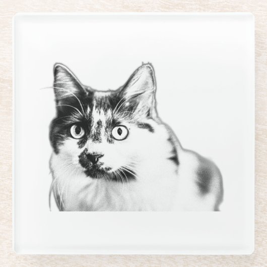 猫用はっきりしたインクのコースター ガラスコースター (正面)