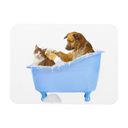 猫用ウォッシュ マグネット (横)