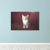 猫用ソファ キャンバスプリント (インサイチュ (ウッドフロア))