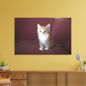 猫用ソファ キャンバスプリント (インサイチュ (リビング))