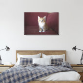 猫用ソファ キャンバスプリント (インサイチュ (寝室))