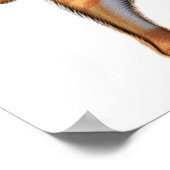 猫用ダブルバスプレーヤー ポスター (角)