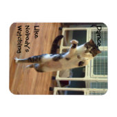 猫用ダンスマグネット マグネット (横)