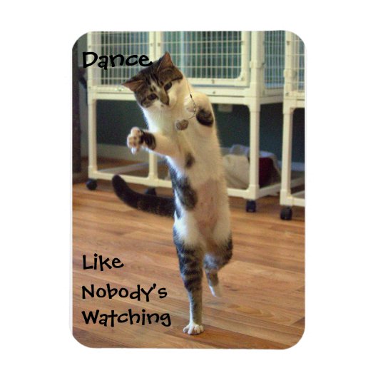 猫用ダンスマグネット マグネット (縦)