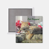 猫用ナピン磁石 マグネット (正面/裏面)