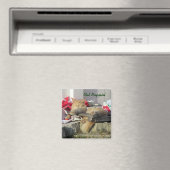 猫用ナピン磁石 マグネット (インサイチュ (食洗機))