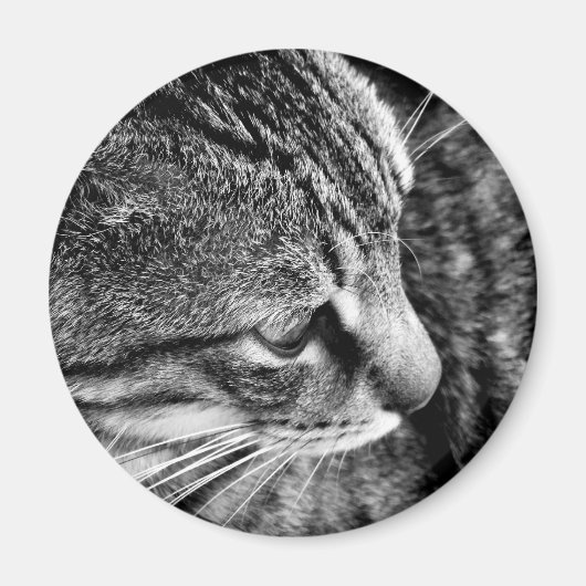 猫用フォトマグネット マグネット (正面)