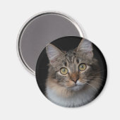 猫用ボタン マグネット (正面/裏面)